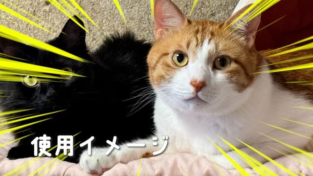 集中線アニメーション黄色